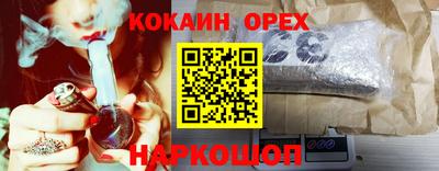 шишки Тара