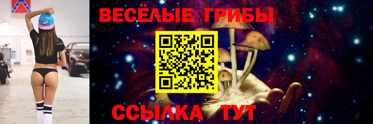 Галлюциногенные грибы GOLDEN TEACHER  Вход с VPN  как найти закладки  Нерюнгри 